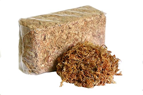 ™Peruvian Sphagnum Moss by Orchid Nerd ® (Peruvian Sphagnum Mos, 150 Grams) - size: 150 Grams