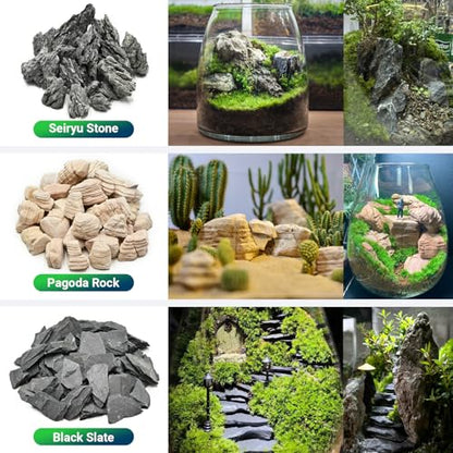 Natural Rocks Seiryu Stone 1-2.5 Inches Decorative Rocks for Fairy Gardens,Miniature Landscaping,Bonsai,DIY Crafts, Aquariums & Reptile Terrariums-2lb - size: 2lb(1-2.5Inch)