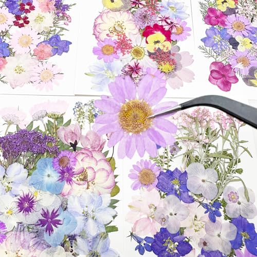 Cayway 170 PCS Real Nature Dried Pressed Flower Leaves, Pressed Flowers for Resin, Real Nature Pressing Floral Leaves for DIY Craft, Candle Scrapbooking Supplies, Purple - color: 170pcs-purple
