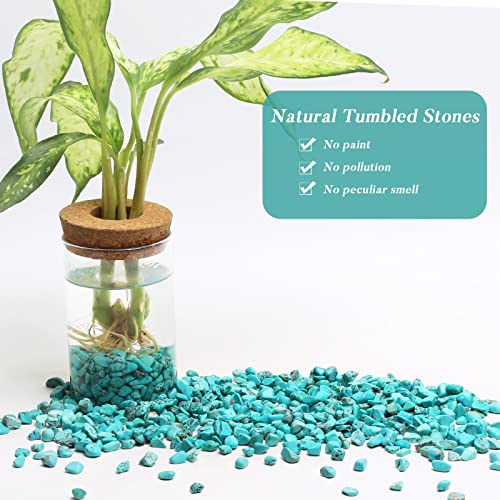 QICQDRAM Polished Gem Stones Rocks Howlite Turquoise Crystals Natural 1LB | Small Tumbled Stones Crystal Chips Bulk for Healing Crystals Fish Tank Gravel Vase Filler (405g/14.28oz) - color: Turquoise, size: 1LB