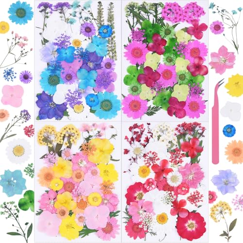 141Pcs Colorful Dried Pressed Flowers for Crafts,Xinxinran Dry Flowers Kit for Resin Molds,Epoxy Resin Accessories,Bookmark,Nails, Jewelry Molds,Candle Making Supplies,Soap,Frame(Mix Color) - color: Elegant Color 141pcs