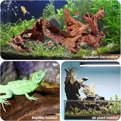 Jorewood Natural Large Aquarium Driftwood for Fish Tanks & Reptile Terrariums – 100% Safe Fish Tank Decorations, 2-Piece 10-14 Inch Unique Twisted Branches Low Tannin, Easy to Sink - size: Mopani Driftwood 10 to 14 Inch (Pack of 2)