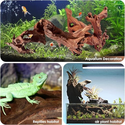 Jorewood Natural Large Aquarium Driftwood for Fish Tanks & Reptile Terrariums – 100% Safe Fish Tank Decorations, Unique Twisted Branches 1-Piece 13-17 Inch Low Tannin, Easy to Sink - size: Mopani Driftwood 13 to 17 Inch (Pack of 1)