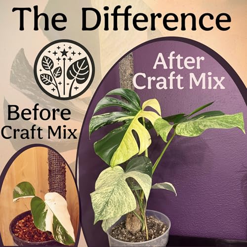 Craft Aroid Potting Mix- Elite Organic Alocasia, Philodendron, Monstera Soil Mix, Chunky, Well Draining Potting Soil for Indoor Plants, All Tropical Plants & Houseplants, Sustainable & Peat Free 4QT - size: 4 Quart