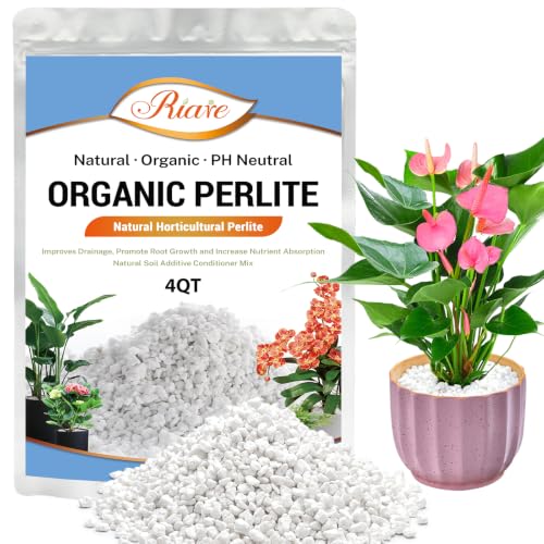 Riare 4QT Organic Perlite for Plants, Horticultural Perlite Soil Amendment - size: 4Quarts