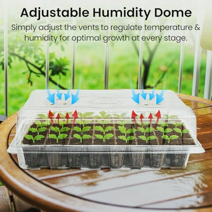 Bonviee Seed Starter Trays with Grow Lights, 80 Cells, 2 Pack | 2 Clear 40-Cell Kits, 80 Cells Total, Four 12-LED Vent Lights, Humidity Domes, Drainage Holes, 1-to-4 USB Cable - color: Clear, size: 2 Packs, with Light