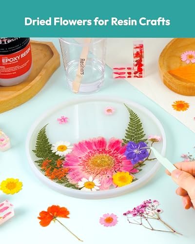 Dried Pressed Flowers, Resiners Dried Flowers for Candle Making Real Natural Pressed Flowers Dry Leaves Kit for DIY Crafts Resin Soap Scrapbook Card Making Jewelry (Gerbera Daisy 100pcs) - color: Bold Gerbera 100pcs
