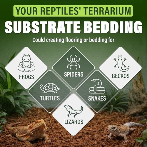 Coconut Chips Substrate, 10 lb Reptile Bedding Expands to 72 qt | Coconut husk chips, expands to 72 qt, terrarium bedding for reptiles, orchid bark, tropical plant mulch, made in Vietnam - size: 10 Lbs (Pack of 1)