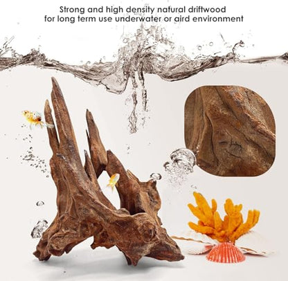 Jorewood Natural Large Aquarium Driftwood for Fish Tanks & Reptile Terrariums – 100% Safe Fish Tank Decorations, Unique Twisted Branches 1-Piece 13-17 Inch Low Tannin, Easy to Sink - size: Mopani Driftwood 13 to 17 Inch (Pack of 1)