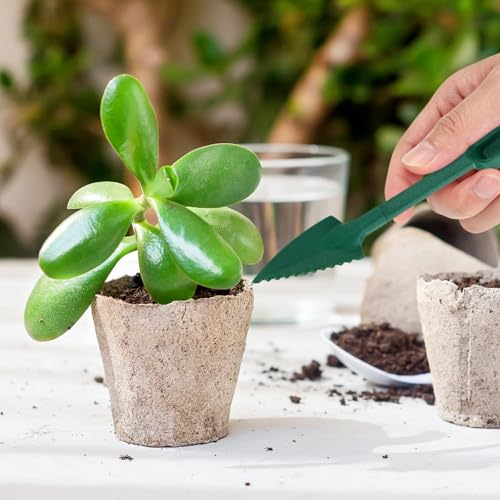 M METERXITY 6-Set Mini Gardening Tools, Plastic 2-in-1 Portable Garden Shovel Hand Tools Set Digging Scoops Kits for Plant/Seedlings/Transplanting/Succulent/Bonsai [Green] - color: Green