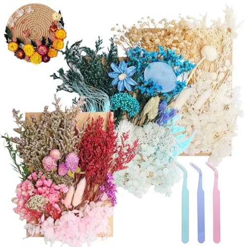 3 Pack Real Dried Flowers for Resin, Natural Pressed Flowers | Natural mixed dried flower pack with tweezers for DIY resin,crafts & candles (Multicolor Blue White). - color: Multicolor Blue White