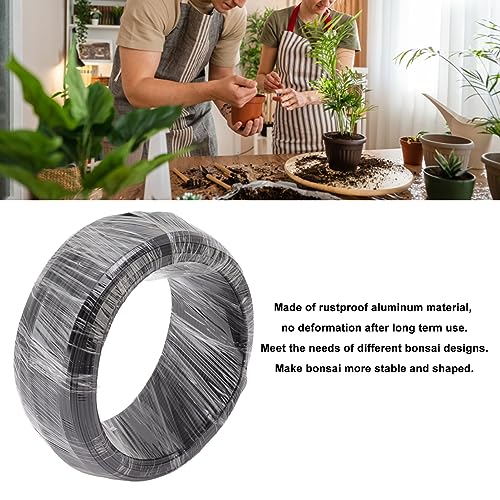 Bonsai Wire Aluminum Wire Training Wire 500g Black for Garden Horticulture (2.5mm) - size: 2.5mm