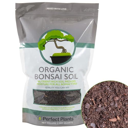 Perfect Plants Bonsai Soil, 2 qt, Organic All-Purpose Potting Mix - size: 2qts.