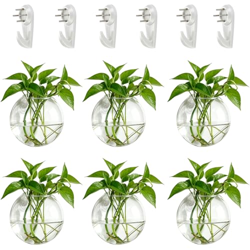 NUPTIO Glass Wall Hanging Planters: Propagation Station for Plants, 6 Pcs | Wall Mount Clear Vase, Terrarium for Indoor, Outdoor, Living Room, Office, Balcony Decor, Air Plant Hydroponic Containers - size: 6 Pcs
