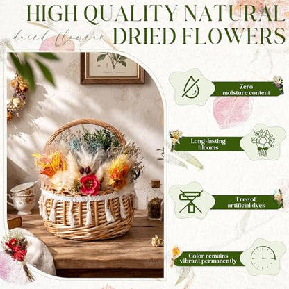 Layhit 12 Pcs Mini Dried Flower Bouquet Boho for Wedding,Camellia | Rustic Boutonniere Bridesmaid Gifts,Handmade Dry Flowers Decor, Bulk Dried Flowers in Vase, DIY Crafts Home Decor - style: Camellia