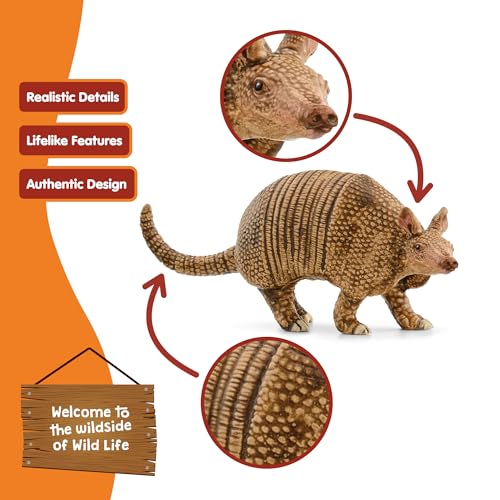 Schleich Wild Life - Wild Animal Toy Armadillo Figurine - Kids and Toddlers Ages 3+ | Wild Animal Figurine, Realistic Animal Toys, Safari Toy for Boys and Girls,Screen-Free Imaginative Pretend Play, Montessori