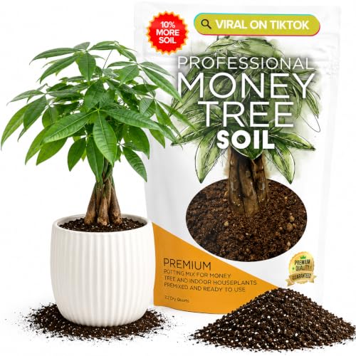 Leaves & Soul Money Tree Potting Soil 2.2 Qt for Money Tree Plants Indoor | Soil for Indoor Plants with Lasting Moisture Balance, Supports Money Tree Plant Growth and Healthy Root Development - color: Money Tree Soil, size: 2.2 Quarts