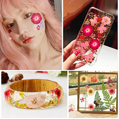 Augshy Red Dried Pressed Flowers, Pressed Red Roses Dried Flowers for Resin Molds Jewelry Nail Art Craft DIY - color: Red