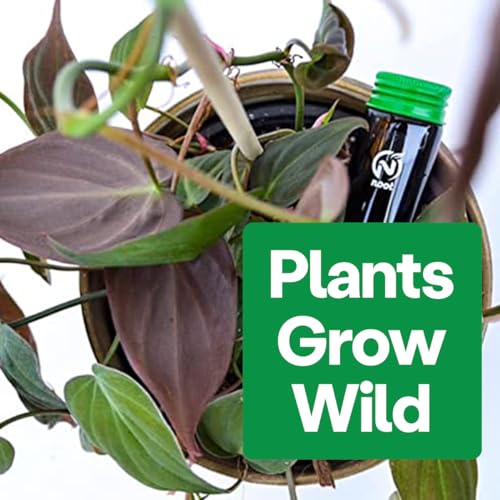 Noot 'Keep House Plants Alive' Bio-Organic Plant Food Liquid Fertilizer, Makes 3.5 Gallons, Root Boosting Mycorrhizae, Fast Growth for Monstera, Aroid, Succulent, Orchid - Use Every Watering (1 Vial) - size: Noot Plant Food (Makes 3.5 Gallons)