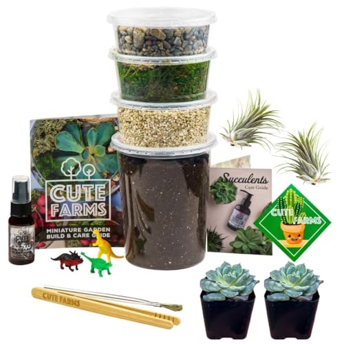 Cute Farms Terrarium Starter Kit | Moss, Vermiculite, Soil, Pebbles, Plant Food, Finishing Tools, Build and Care Guide | DIY Succulent Terrarium for Adults and Kids (Large + Live Plants) - size: Large Kit + Live Plants