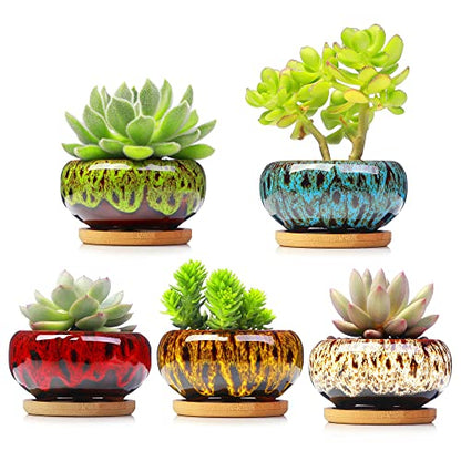 Cute Ceramic Succulent Garden Pots, Planter with Drainage and Attached Saucer, Set of 5 -Plants Not Included (Vivid Colors) - color: Vivid Colors