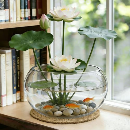8" Round Glass Lotus Bowl Planter with Rattan Mat, Clear Indoor Hydroponic Water Lily Pot for Aquatic Plants, Bonsai & Lotus Flowers, Decorative Terrarium Bowl Vase, Fish Tank - size: 8 Inch