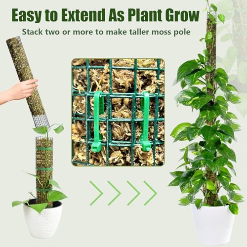 60" Metal Moss Pole, 2 Pack Moss Poles for Plants Monstera, Stackable Sphagnum Moss Pole, Plant Poles for Climbing Plants Work with Sphagnum Moss(2 Pack 60") - color: 2 Pack 60"
