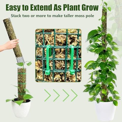60" Metal Moss Pole, 2 Pack Moss Poles for Plants Monstera, Stackable Sphagnum Moss Pole, Plant Poles for Climbing Plants Work with Sphagnum Moss(2 Pack 60") - color: 2 Pack 60"
