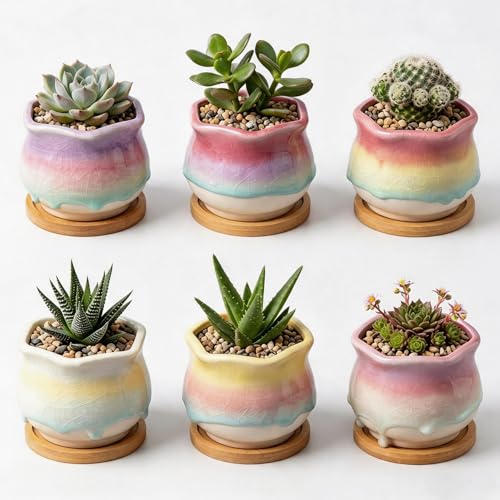 6 Pack Ceramic Succulent Planters, 3.54" W × 3.35" H Gradient Crackle Glaze Flower Pots for Succulents, Cacti, Small Plants, Creative Gardening Decorative Planter Containers