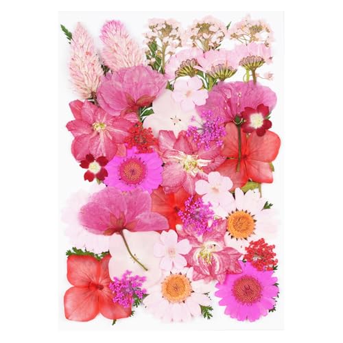40Pcs Pink Dried Pressed Flowers for Crafts,Xinxinran Dry Flowers Kit for Resin Molds,Epoxy Resin Accessories,Bookmark,Nails, Jewelry Molds,Candle Making Supplies,Soap,Frame,Cakes - color: Pink 40pcs