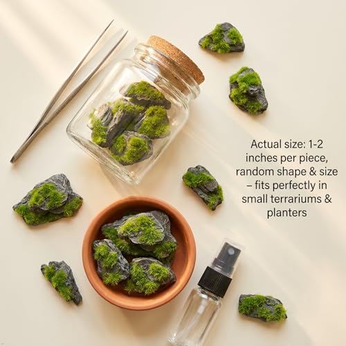 Miniature Moss Stones for Terrarium - Tree Bark Diorama Rocks for Miniature Terrain Display - Lightweight Reptile Habitat Decor - NOT for Aquarium Underwater Use - 24 Pcs Flocking-Covered (1-2 inch) - style: 24P Flocking Slate Rocks (Wooden)