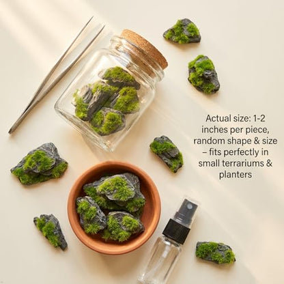 Miniature Moss Stones for Terrarium - Tree Bark Diorama Rocks for Miniature Terrain Display - Lightweight Reptile Habitat Decor - NOT for Aquarium Underwater Use - 12 Pcs Flocking-Covered (1-2 inch) - style: 12P Flocking Slate Rocks (Wooden)