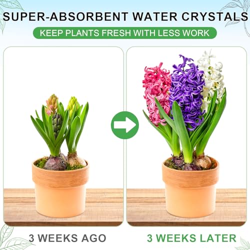 XSEINO 2LB Soil Moisture Crystals Water-Absorbing Hydrogel for Plants Solves Over and Under-Watering, Long-Lasting Water Retention to Keep Soil Moist Polymer Water Storage Crystals - color: 2 LB