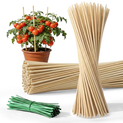 MAQIHAN Plant Stakes for Indoor Plants - 40PCS Plant Support Sticks, 9.8" | Stakes for Potted Plants, Orchids & Seedlings, Garden Stake with 30pcs Green Ties