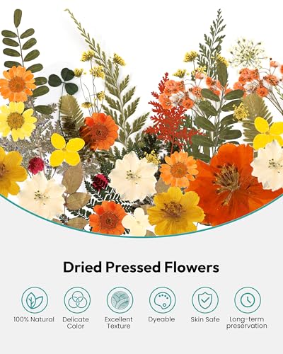Dried Flowers, Resiners 100Pcs Pressed Flowers for Craft Yellow Real Natural Dried Flowers Dry Leaves Kit for DIY Making Crafts Resin Soap Candle Scrapbook Supplies Card Making Jewelry - color: Yellow 100pcs
