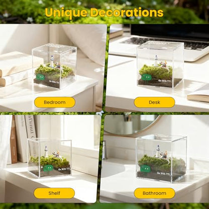DIY Moss Terrarium Kit, 4 * 4 * 4 inch Acrylic Cube Mini Garden with Live Star Moss, Soil, Endless Love-Craft Kit for Adults and Teens, Relaxing Desk Decor & Unique Gift for Home or Office