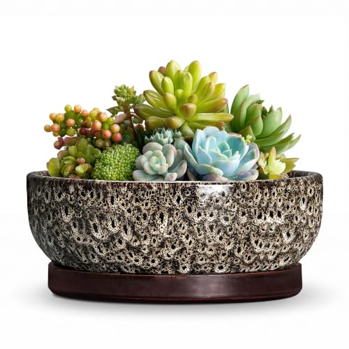Succulent Pots 6 Inch, Ceramic Bonsai Pots with Tray, White Leopard - color: White Leopard, size: 6 Inch