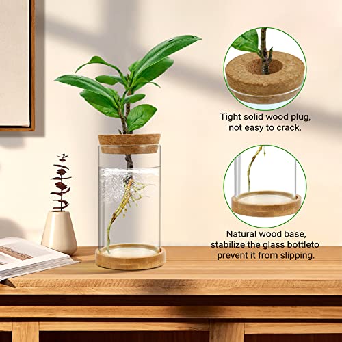 Plant Propagation Stations 3 Pack Plant Terrarium, Propagation Jars Glass Hydroponic Vases for Indoor Plants, Desktop Glass Plant Pot with Lid & Wooden Stand Gardening Gifts for Women Mom Plant Lovers