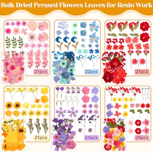 318 PCS Pressed Flowers Butterfly Stickers for Craft, Real Dried Pressed Flowers Bulk Natural Dry Flowers Floral with DIY Butterfly Stickers Tweezers for Art, Resin Mold, Candles, Soap, Jewelry Making - color: 318 Pcs Pressed Flowers Butterfly Stickers