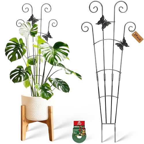 30in Plant Trellis for Potted Plants Indoor, Butterfly Adorned | 2P Expandable Metal Trellis for Climbing Plants, Fits Monstera Hoya Pothos Ivy Rose, With Plant Ties - size: 32.6in/butterflies 2P