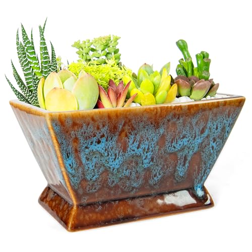 Succulent Pots - 7 Inch Large Plant Pot with Drainage, Shallow Planters - color: Blue