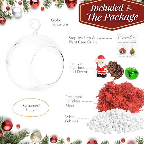 Creations by Nathalie Holiday 4" Glass Globe Terrarium Kit with Live Plant | DIY glass globe terrarium kit with live plant, moss, and essential supplies for creating an indoor terrarium display at home. - size: 4" Ornament Glass Globe