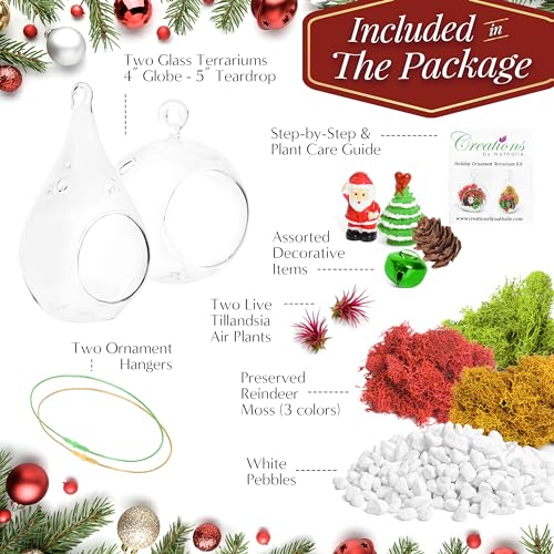 Creations by Nathalie DIY Air Plant Terrarium Kit with Glass Terrariums | DIY air plant terrarium kit with glass terrariums, moss, and decorative supplies for creating indoor displays with air plant. - size: Glass Globe + Glass Teardrop Ornament