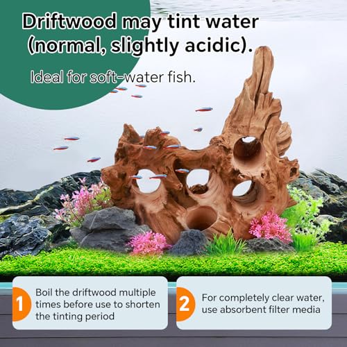 Driftwood for Aquarium Natural Aquarium Wood for Aquascaping Fish Tank Decorations Reptile Tank Decor (Porous Natural Driftwood 11-15“)