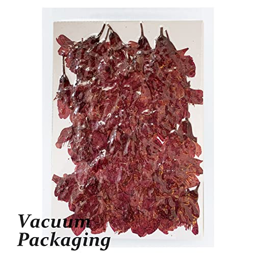 Pressed Dried Cherry Flowers, 60PCS Purple Red Natural Real Dried Pressed Cherry Blossom Flowers, Dry Flowers for Resin DIY Ornament Crafts Candle Making - color: Cherry Flowers-purple Red(side Pressure)