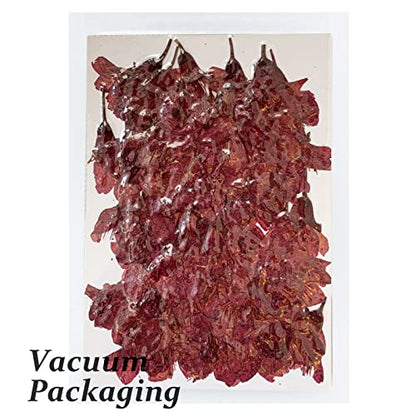 Pressed Dried Cherry Flowers, 60PCS Purple Red Natural Real Dried Pressed Cherry Blossom Flowers, Dry Flowers for Resin DIY Ornament Crafts Candle Making - color: Cherry Flowers-purple Red(side Pressure)