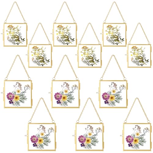 Kigley 12 Pcs Glass Pressed Flower Frame Chain Hanging 2.4" 3.2" - color: Gold