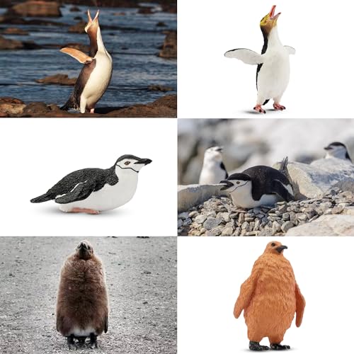 Toymany 12PCS Realistic Penguin Figurines, Plastic Polar Antarctic Animal Figures Set with Penguin Cub, Easter Eggs Cake Toppers Christmas Birthday Gift for Kids Toddlers - color: Penguin