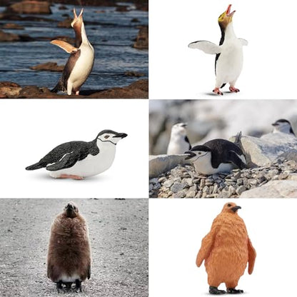 Toymany 12PCS Realistic Penguin Figurines, Plastic Polar Antarctic Animal Figures Set with Penguin Cub, Easter Eggs Cake Toppers Christmas Birthday Gift for Kids Toddlers - color: Penguin