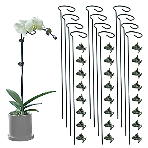 12 Pack Plant Support Stakes with 24 Pcs Plant Clips, Garden Single Stem Support Stake, Plant Cage Support Ring for Indoor Outdoor Flowers Rose Amaryllis Tomatoes Peony Lily Orchid (16 Inch) - color: 12 PCS, size: 16 Inch